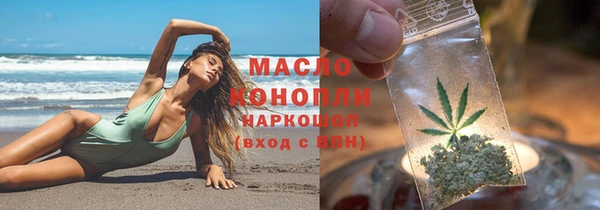 молекула духа Бородино